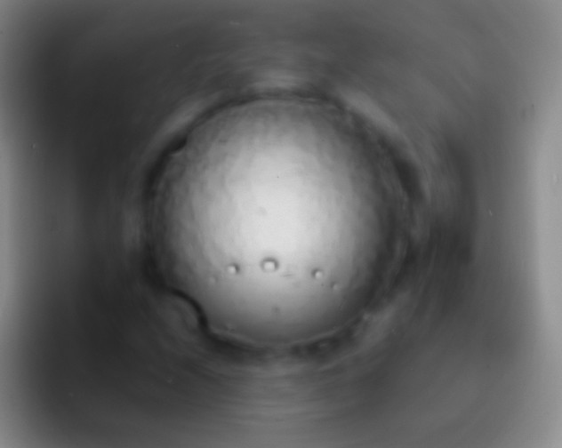 X0000092331208200709211301