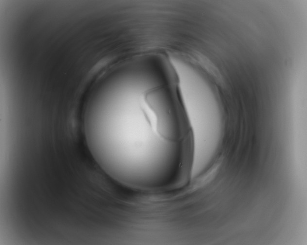 X0000092331210200709211301