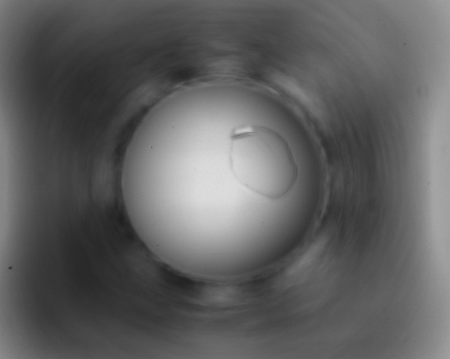 X0000092331211200709211301