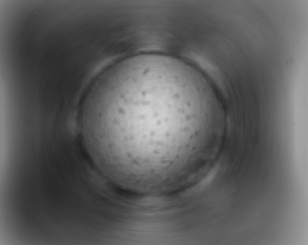 X0000092331212200709211301