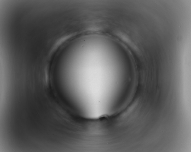 X0000092331214200709211301