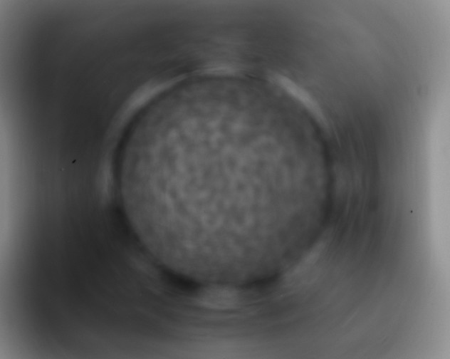 X0000092331215200709211301