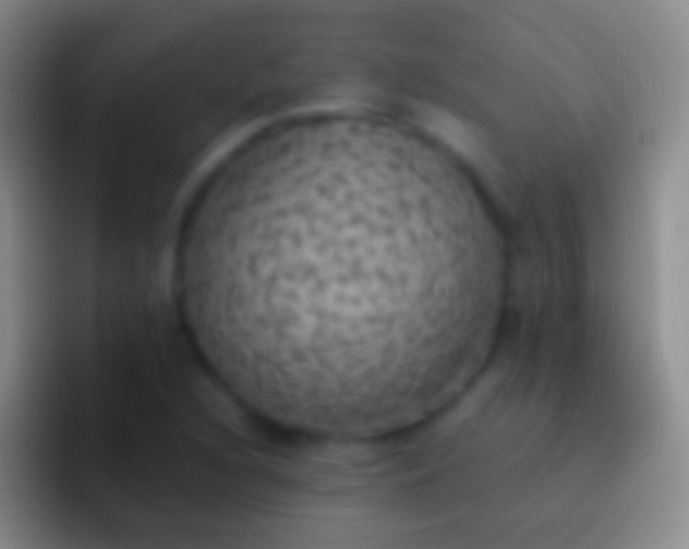 X0000092331216200709211301