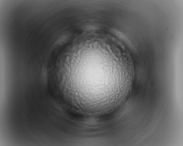 X0000092331217200709211301