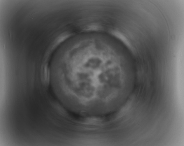 X0000092331219200709211301