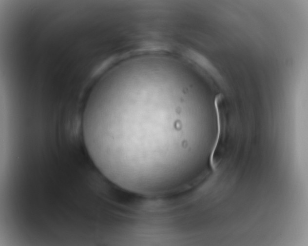 X0000092331220200709211301