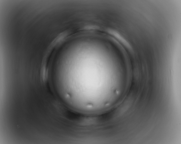 X0000092331221200709211301