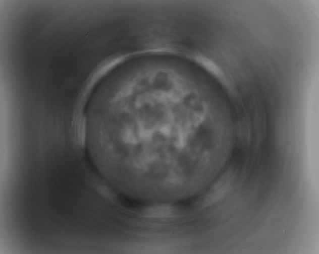 X0000092331223200709211301
