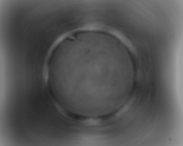 X0000092331224200709211301