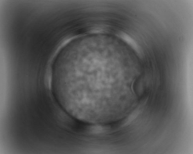 X0000092331227200709211301