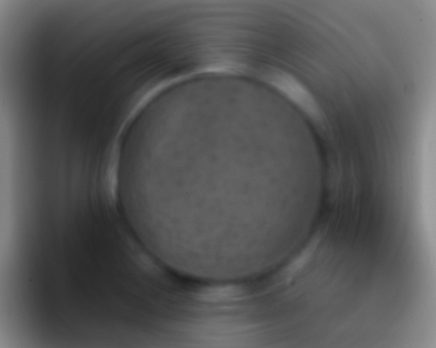 X0000092331228200709211301