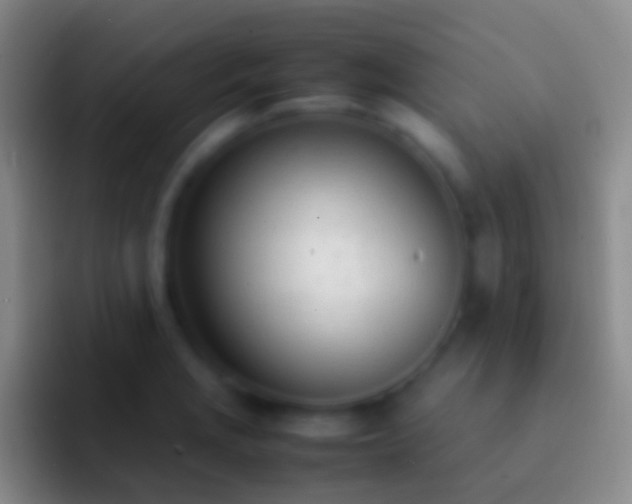 X0000092331229200709211301