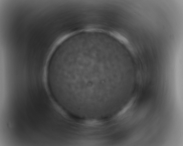 X0000092331231200709211301