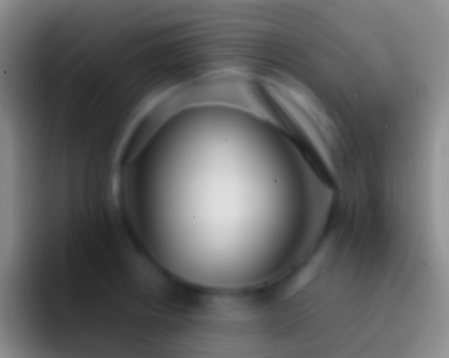 X0000092331234200709211301