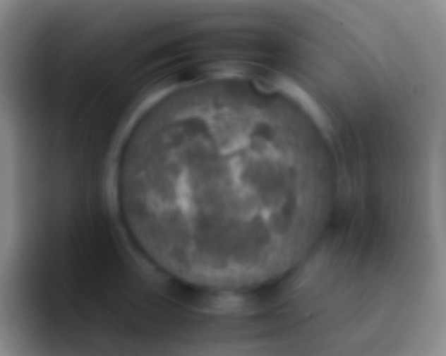 X0000092331235200709211301