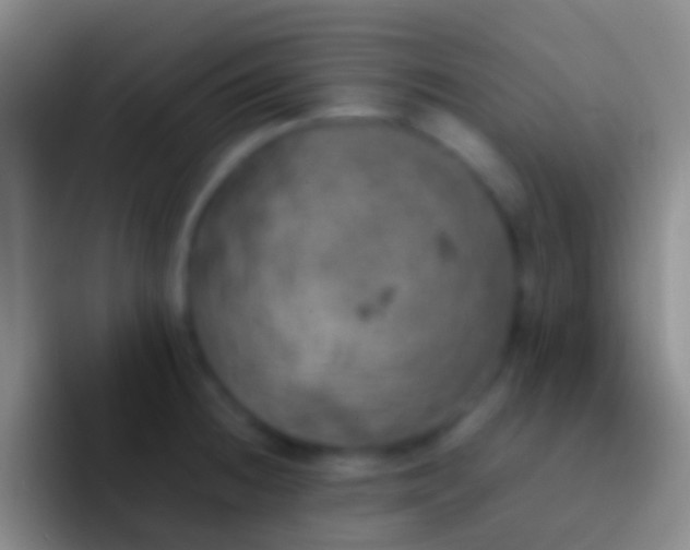 X0000092331236200709211301