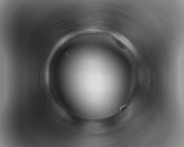 X0000092331238200709211301