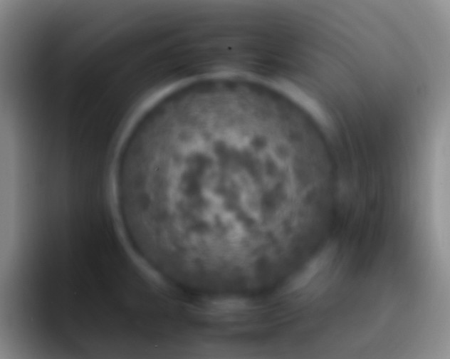 X0000092331239200709211301