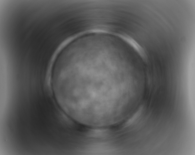 X0000092331240200709211301