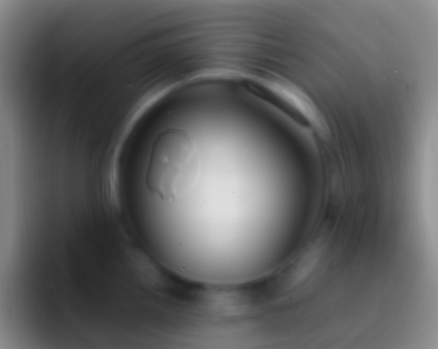 X0000092331242200709211301