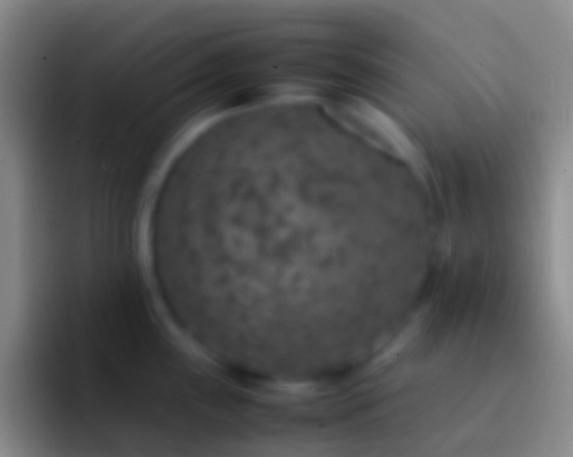 X0000092331243200709211301