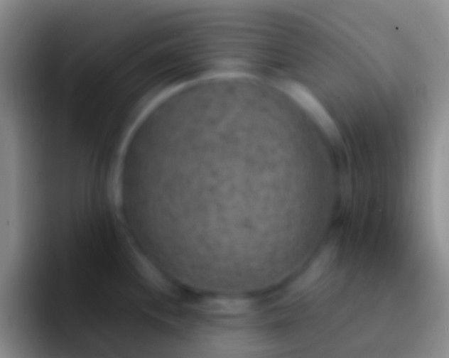 X0000092331244200709211301