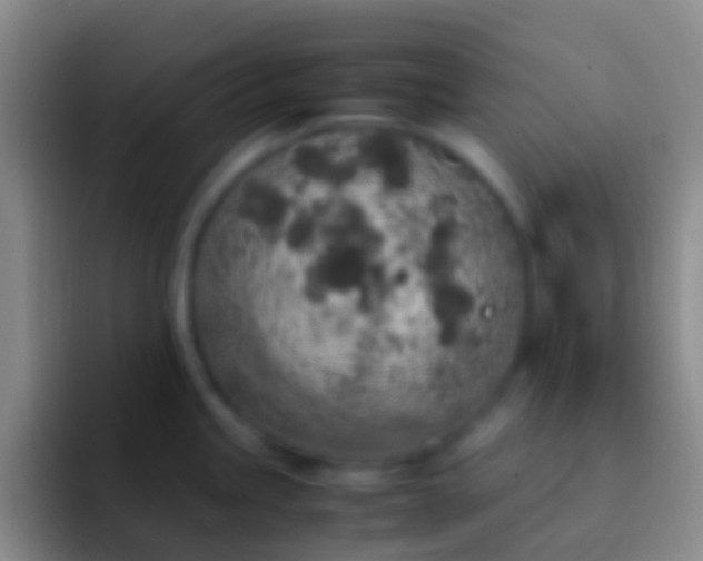 X0000092331245200709211301