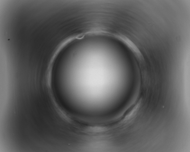 X0000092331246200709211301