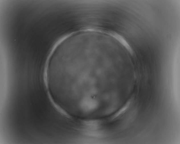X0000092331247200709211301