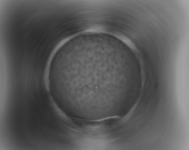 X0000092331248200709211301