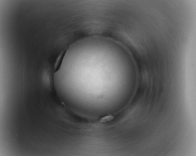X0000092331250200709211301