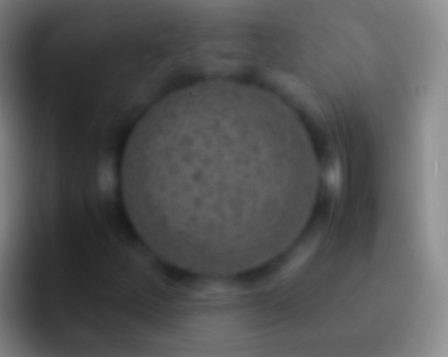 X0000092331252200709211301