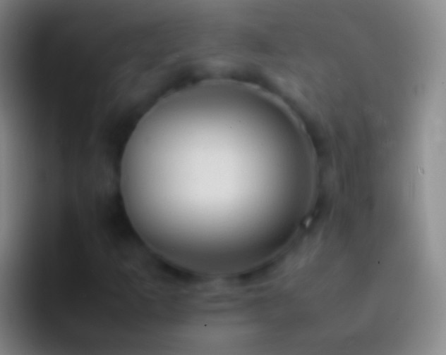 X0000092331253200709211301