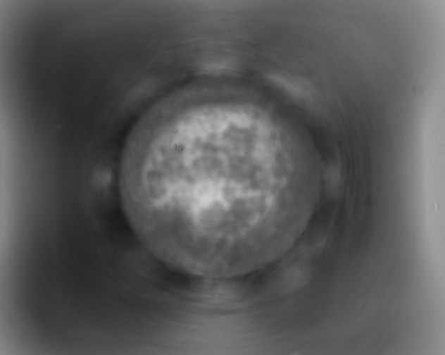 X0000092331254200709211301