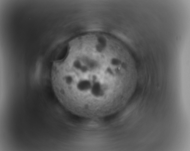 X0000092331255200709211301