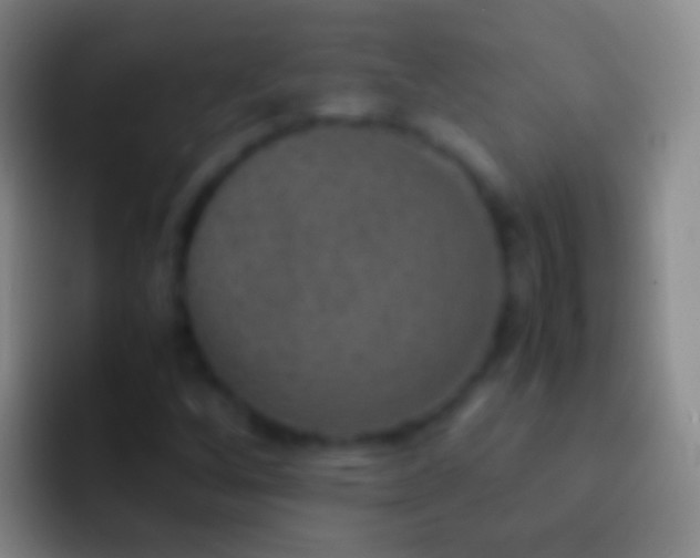 X0000092331256200709211301