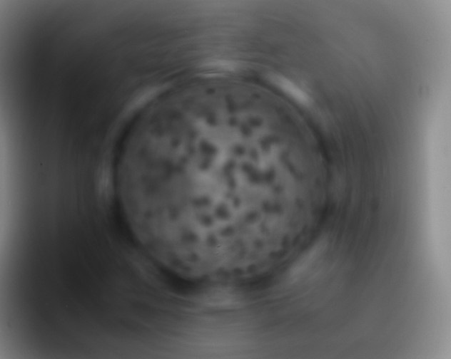 X0000092331259200709211301