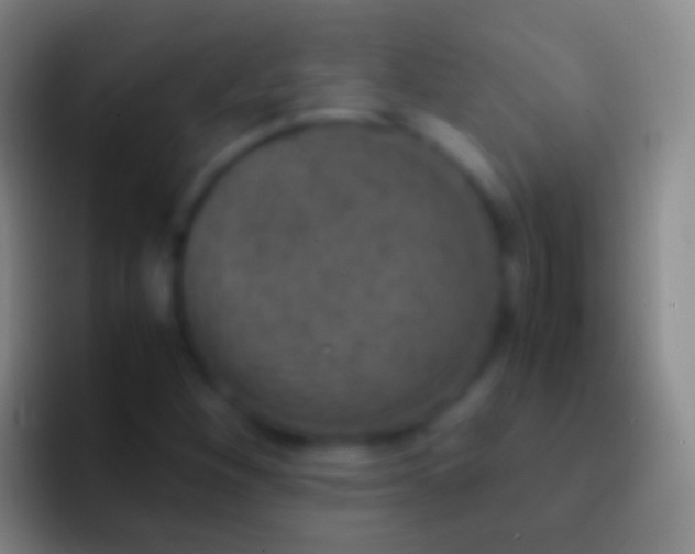 X0000092331260200709211301
