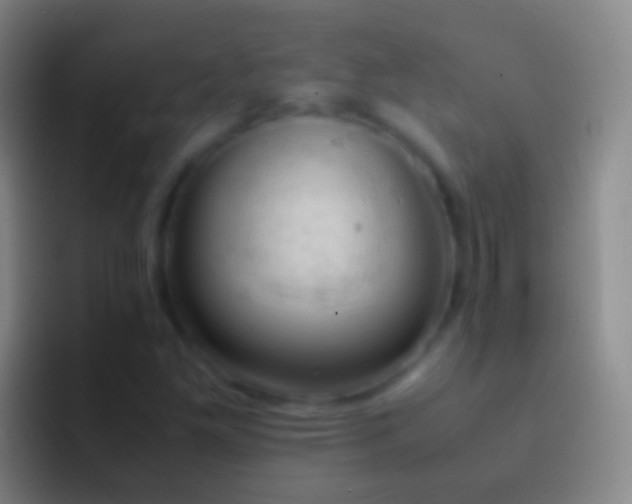 X0000092331261200709211301