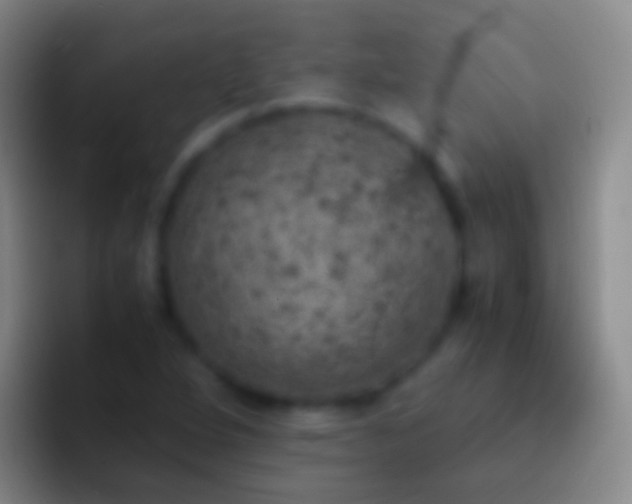 X0000092331264200709211301