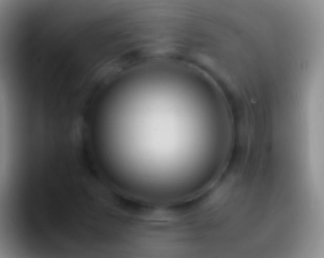 X0000092331265200709211301