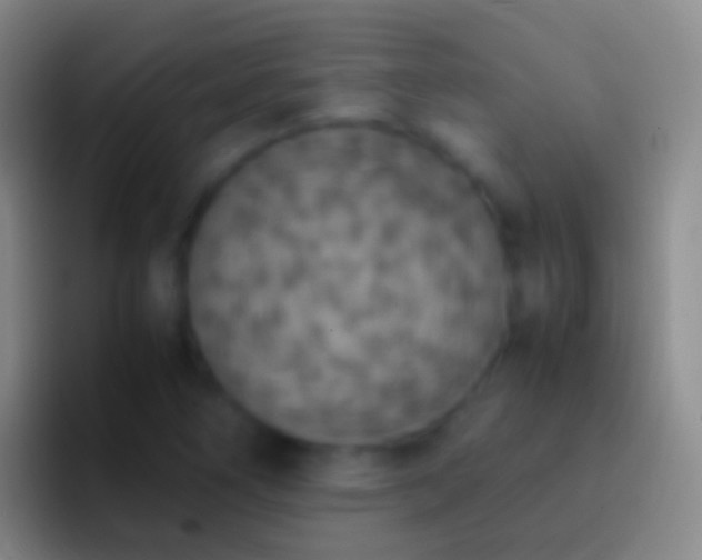 X0000092331266200709211301