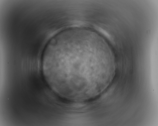 X0000092331267200709211301
