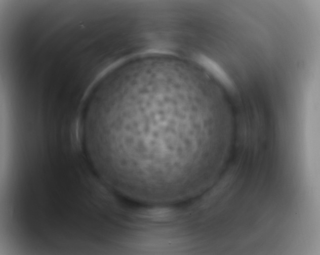 X0000092331268200709211301
