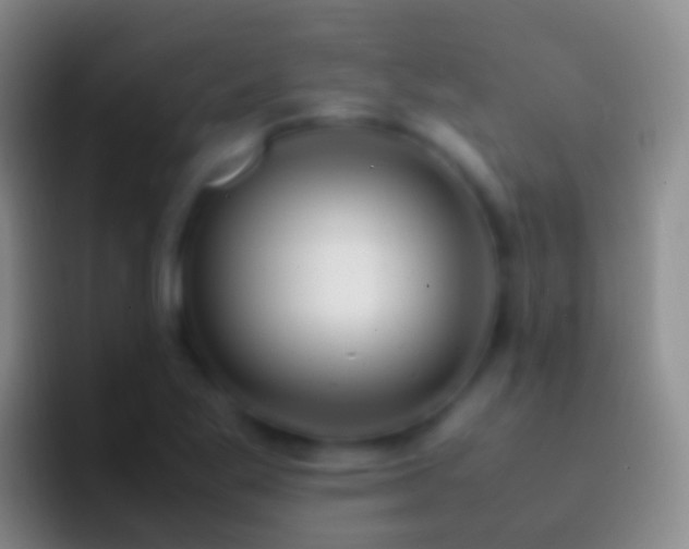 X0000092331269200709211301