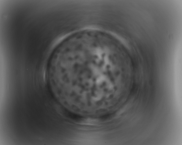 X0000092331271200709211301