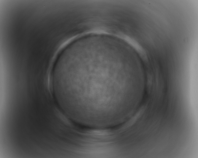 X0000092331272200709211301
