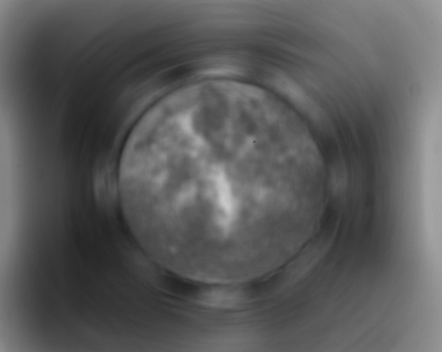 X0000092331274200709211301