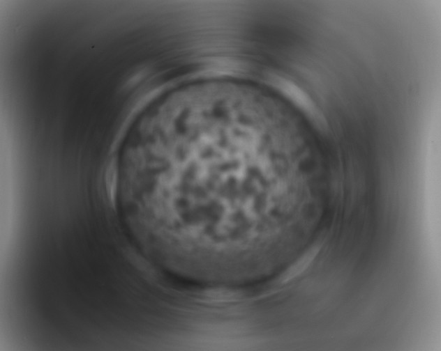 X0000092331275200709211301