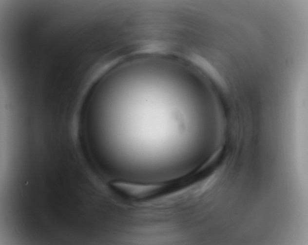 X0000092331277200709211301